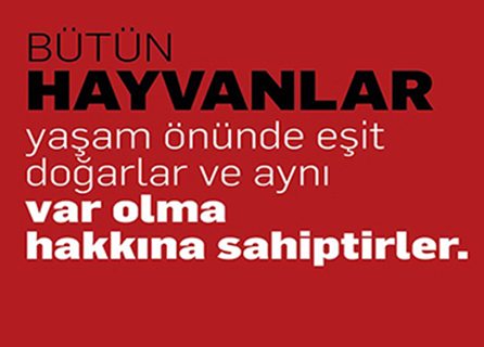 Hs Veteriner Kliniği