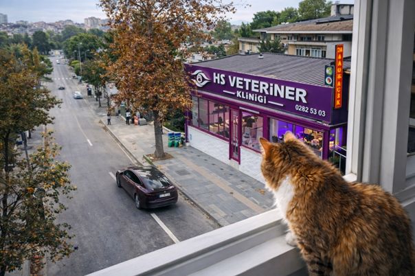 HS Veteriner Kliniği