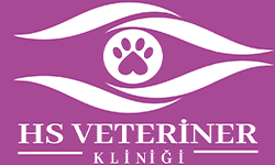 Hs Veteriner Kliniği